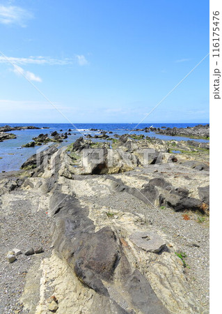 荒崎海岸 荒崎海岸 116175476