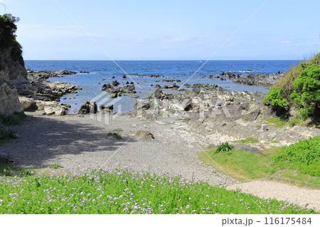 荒崎海岸 荒崎海岸 116175484