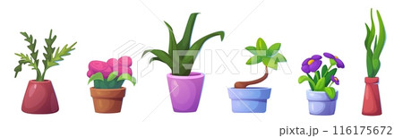 Flowers in pot and vase. Flowers in pot and vase. 116175672