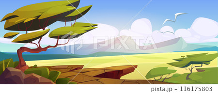 African savannah landscape with grassland and tree 116175803