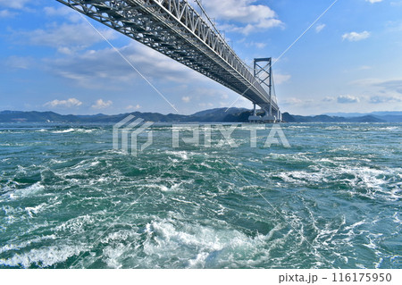 渦潮クルーズ　大鳴門橋　兵庫　徳島　大橋　 116175950