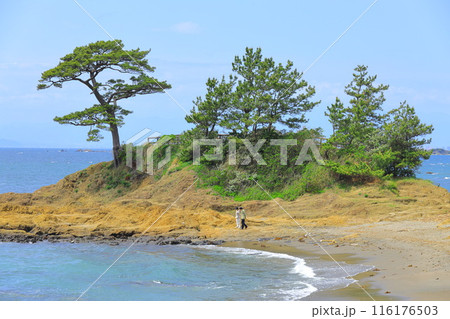 秋谷海岸 秋谷海岸 116176503