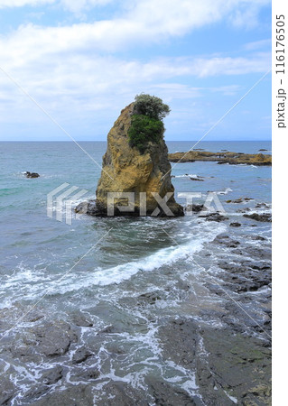 秋谷海岸 116176505