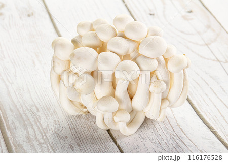Japanese Shimeji mushroom for cooking 116176528