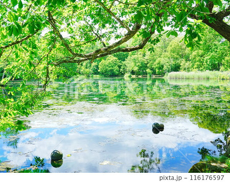 北海道の絶景 富良野 鳥沼公園 116176597
