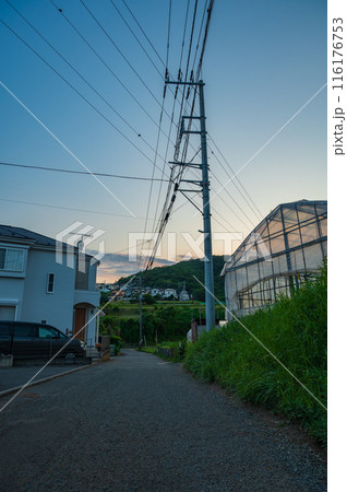 夕暮れの風景　何気ない日常風景写真 116176753