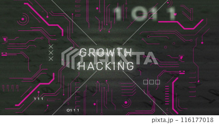 Image of growth hacking text and data processing over computer motherboard 116177018