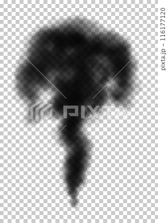 下から上へ昇っていく黒色の煙 116177120