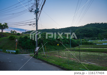 夕暮れの長閑な原風景 夕暮れの長閑な原風景 116177404
