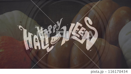 Image of happy halloween text over pumpkins 116178434