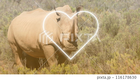 Image of heart over rhino on savanna 116178630