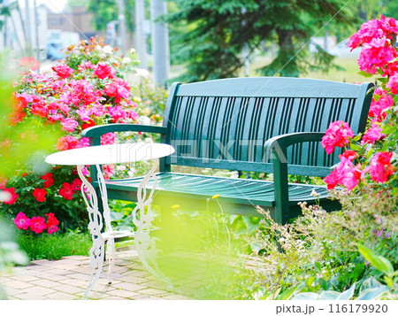 北海道のローズガーデン ロイズガーデン 116179920