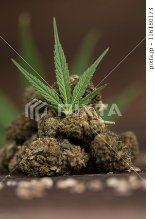 Cannabis and marijuana buds, weed cbd 116180173