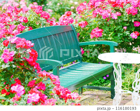 北海道のローズガーデン ロイズガーデン 116180193