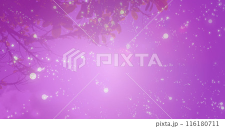 Image of light spots over biracial couple embracing Image of light spots over biracial couple embracing 116180711