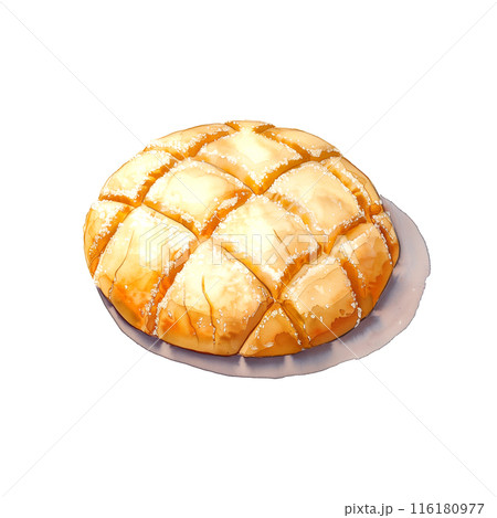 白背景にメロンパンの水彩イラスト 116180977