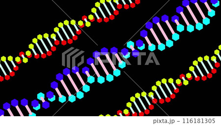 Image of confetti falling and three dna strands moving on black background 116181305