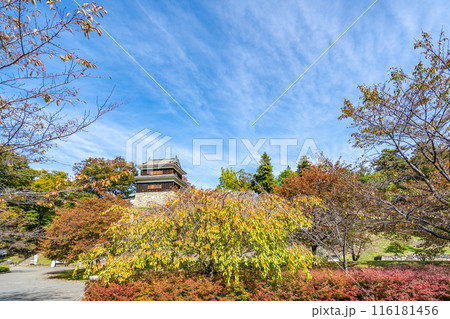 上田城跡公園　西櫓　紅葉　徳川軍によって2度攻撃されるが落城しなかった難攻不落の城 116181456