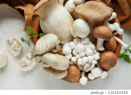 Assortment of various mushrooms Assortment of various mushrooms 116181458