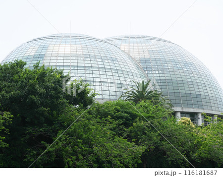 ガラスドーム｜夢の島熱帯植物館 116181687