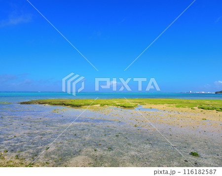 名城ビーチ(沖縄県糸満市) 116182587