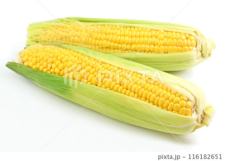 とうもろこし（おひさまコーン） 116182651