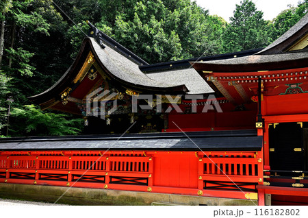 六所神社　本殿 116182802