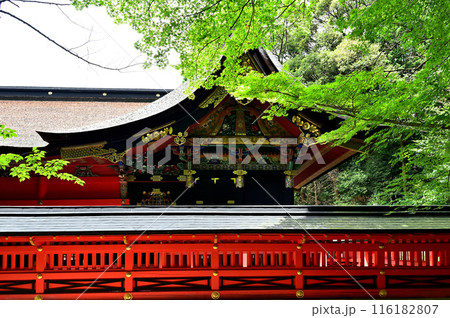 六所神社　本殿　 116182807
