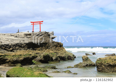 《静岡県》伊豆白浜海岸 116182902