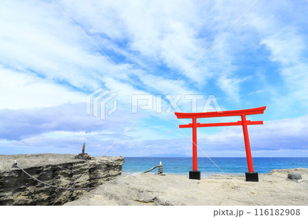 《静岡県》伊豆白浜海岸 116182908