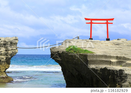 《静岡県》伊豆白浜海岸 《静岡県》伊豆白浜海岸 116182929