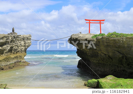 《静岡県》伊豆白浜海岸 《静岡県》伊豆白浜海岸 116182941