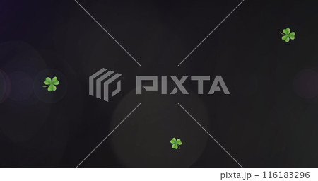 Image of light spots and clovers over black background Image of light spots and clovers over black background 116183296