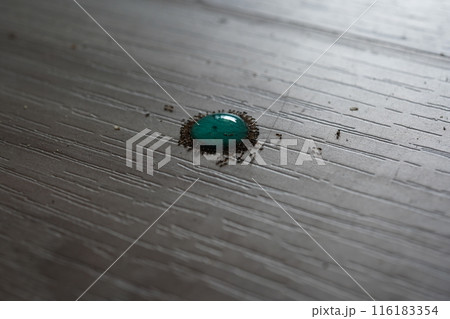 アリ あり 蟻 116183354