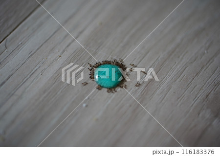 アリ あり 蟻 116183376