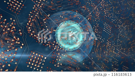 Image of data processing over globe 116183613