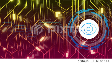 Image of eye icon and shapes over data processing Image of eye icon and shapes over data processing 116183643