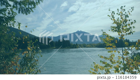 Trees surrounding calm river, with a mountain looming in distance Trees surrounding calm river, with a mountain looming in distance 116184359