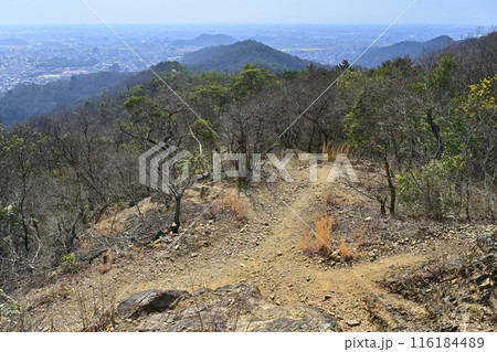 足利市の足利城跡両崖山への登山道に足利市街地 116184489