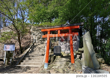 足利市の足利城跡両崖山山頂神社への石段と鳥居に石碑 足利市の足利城跡両崖山山頂神社への石段と鳥居に石碑 116184505