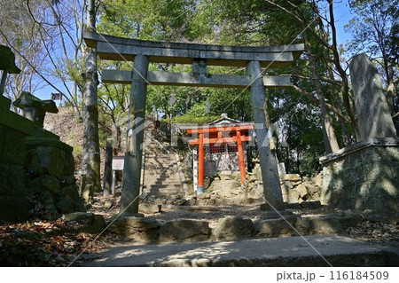 足利市の足利城跡両崖山山頂神社への石段と鳥居に石碑 116184509