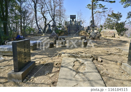 足利市の足利城跡両崖山山頂神社 116184515