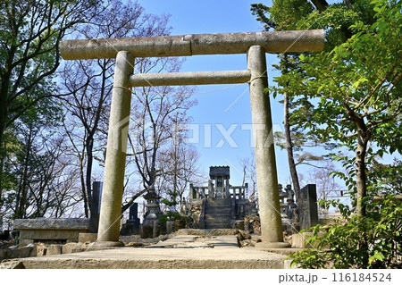 足利市の足利城跡両崖山山頂神社に鳥居に石段 116184524