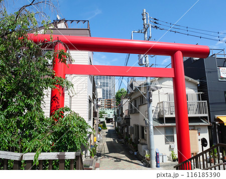赤い鳥居|住吉神社 赤い鳥居|住吉神社 116185390