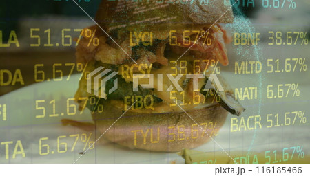Image of financial data processing over sandwich 116185466