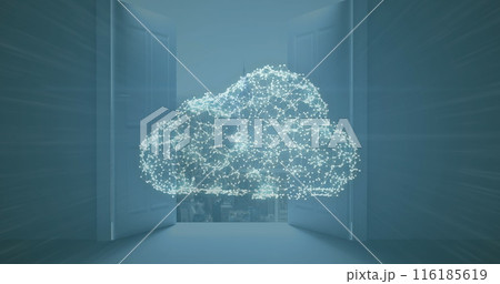 Image of network of connections forming cloud and security padlock icon against cityscape Image of network of connections forming cloud and security padlock icon against cityscape 116185619