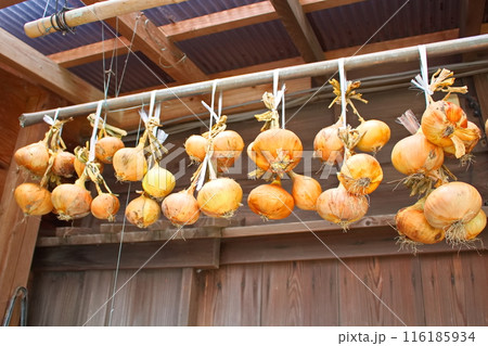 軒下につるして干したタマネギ 116185934