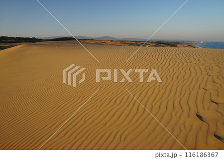 青空と山陰の山並みを背景にした鳥取砂丘馬の背西側の風紋　Ver1 116186367