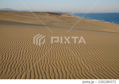 青空と山陰の山並みを背景にした鳥取砂丘馬の背西側の風紋　Ver3 116186371