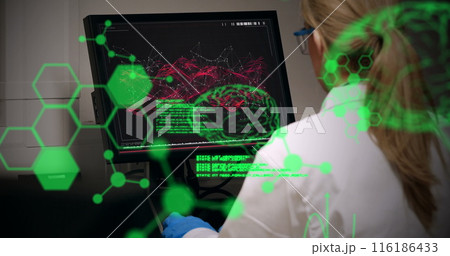 Caucasian scientist analyzing brain scans, wearing lab coat Caucasian scientist analyzing brain scans, wearing lab coat 116186433